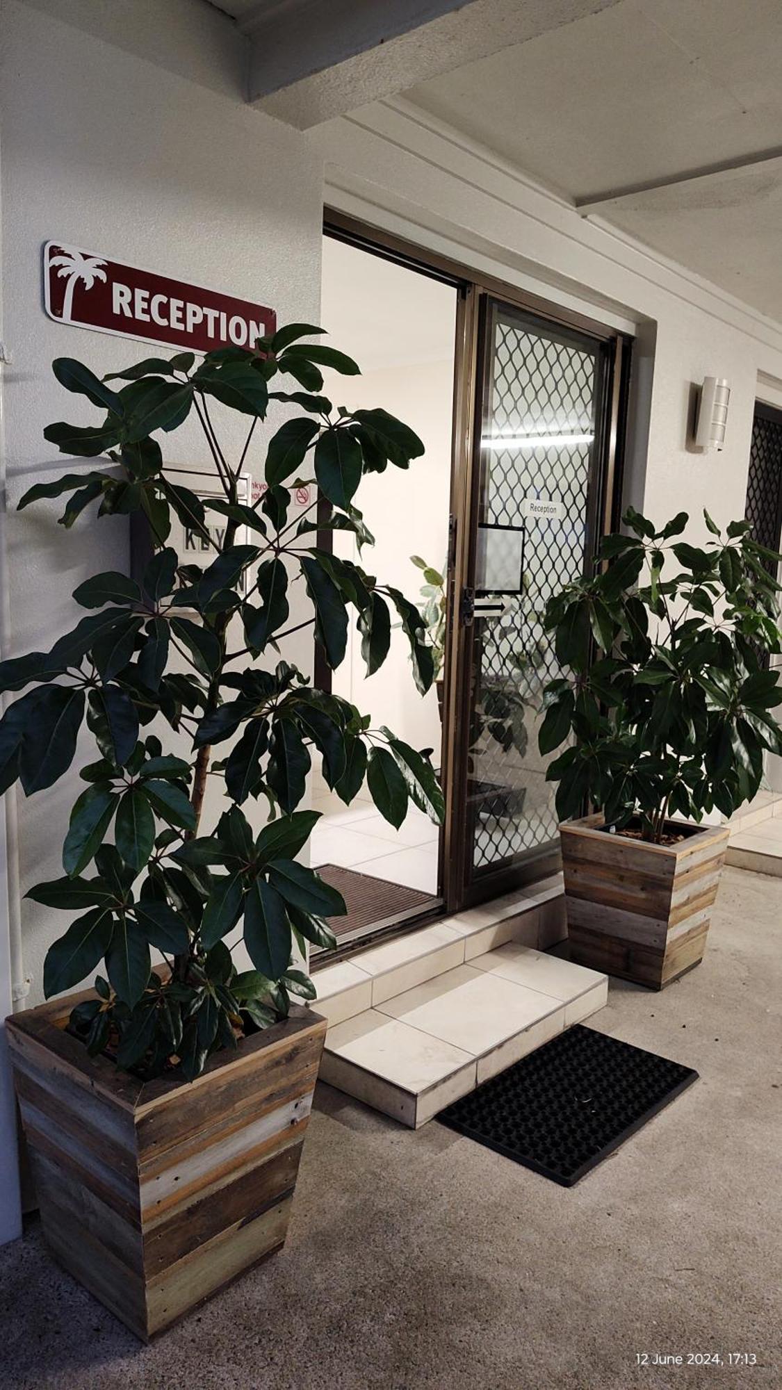 Pacific Palms Motor Inn Marcoola Zewnętrze zdjęcie